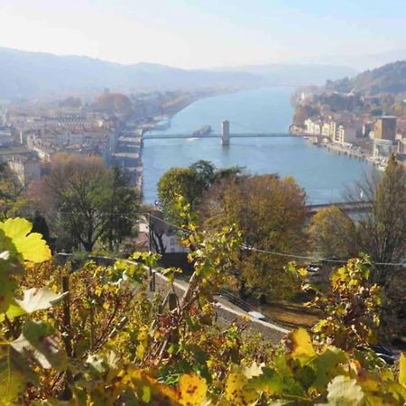 Appartement Vignes Vienne Nord Dış mekan fotoğraf