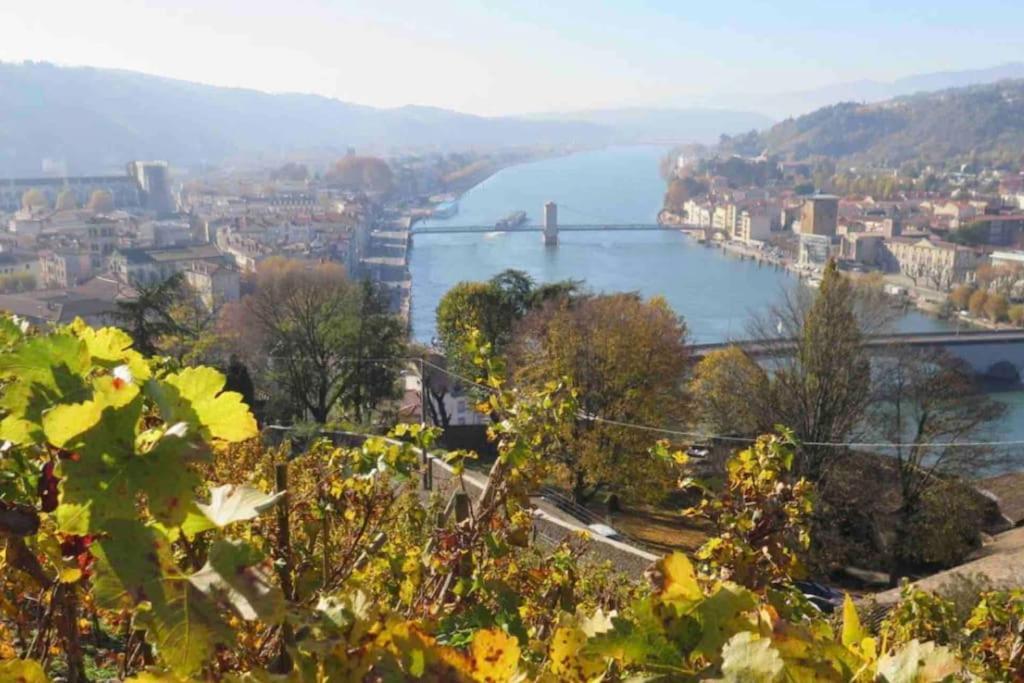 Appartement Vignes Vienne Nord Dış mekan fotoğraf